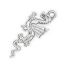 Picture of Sterling Silver Dragon Charm 25mm