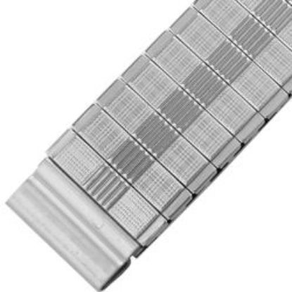 Picture of Men's Watchband 2-3/8" length 5/8" width
