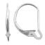 Picture of Sterling Silver Interchangeable Lever Back 14.5x11.5mm