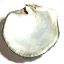 Picture of Rough MOP BlackLip Shell A Grade