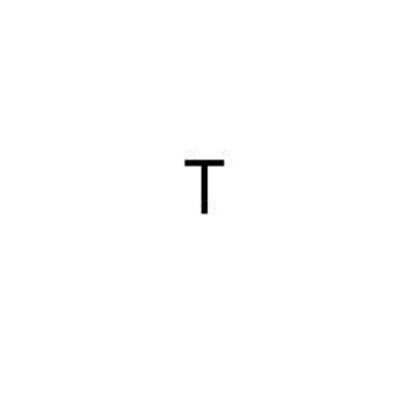 Picture of Block Letter "T" Stamp 1/16 Inch
