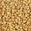 Picture of Galvanized Gold Matte Seed Bead #F471 / Size 11<br />Approximately 25 Grams