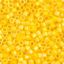Picture of Miyuki Delica Size 11 Seed Beads, Dark Yellow Canary Opaq Aurora Borealis