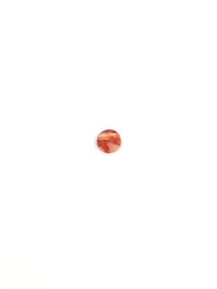 Picture of Orange Spiny Oyster Compressed Round Cabachon, No Back 5mm
