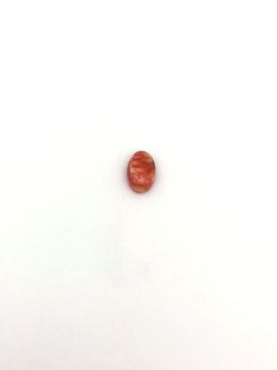 Picture of Orange Spiny Oyster Compressed Oval Cabachon, No Back 4x6mm