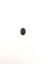 Picture of Purple Stabilized Compressed Spiny Oyster Cabachon 4x6mm Oval, No Back