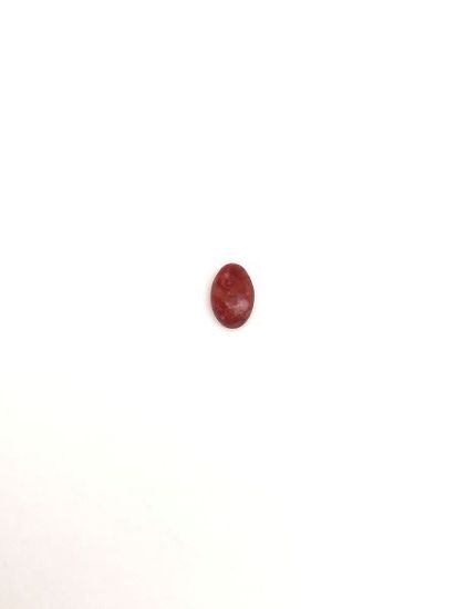 Picture of Red Stabilized Compressed Spiny Oyster Cabachon 4x6mm Oval, No Back