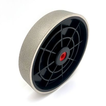 Picture of Nickel Plated Diamond 8" Wheel, 220 grit