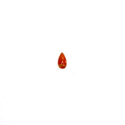 Picture of Orange Spiny Oyster Compressed Cabachon, 5x10mm Pear, No Back