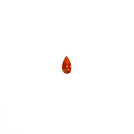 Picture of Orange Spiny Oyster Compressed Cabachon, 5x10mm Pear, No Back