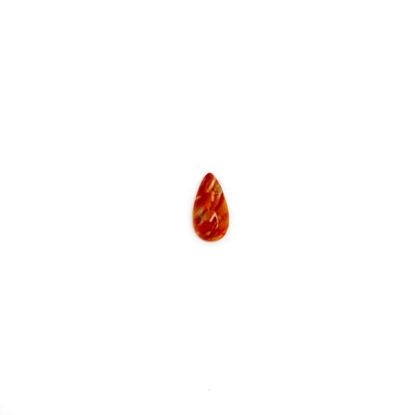 Picture of Orange Spiny Oyster Compressed Cabochon 7x14mm Pear, No Back