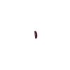 Picture of Purple Spiny Oyster Cabachon 5x10mm Long Oval, No Back