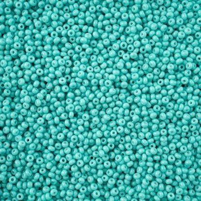 Picture of Preciosa Czech Seed Bead, 11/0 Turquoise Chalk Dyed Solgel