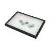 Picture of Riker Case w/PINS 12x16"