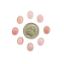 Picture of Oval Conch Shell Cabochon 7x9mm