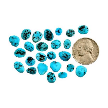 Picture of Sonoran Turquoise Cabochon, Freeform