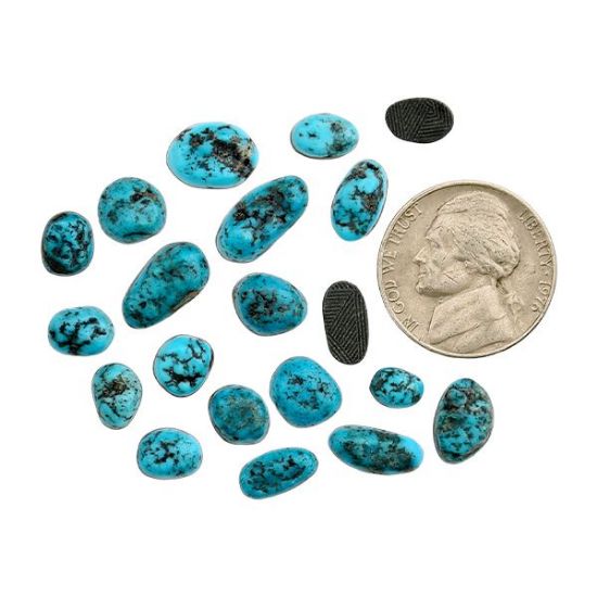 Picture of Sonoran Turquoise Blue Turquoise, X-Small Freeform