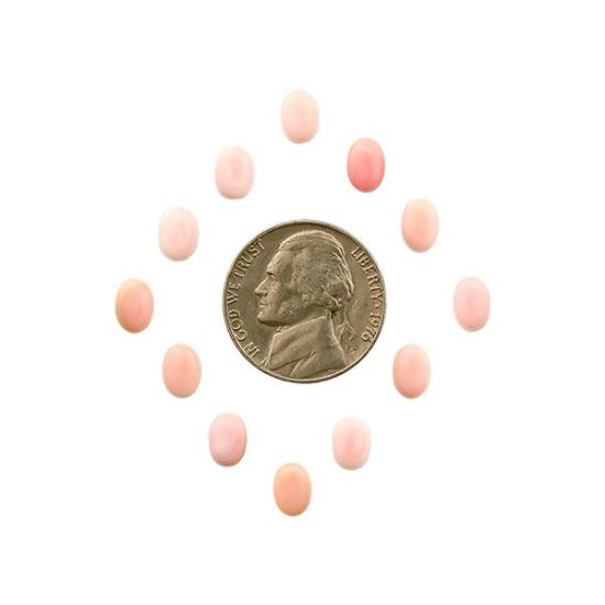 Picture of Pink Conch Shell Cabochon, 5x7mm Oval