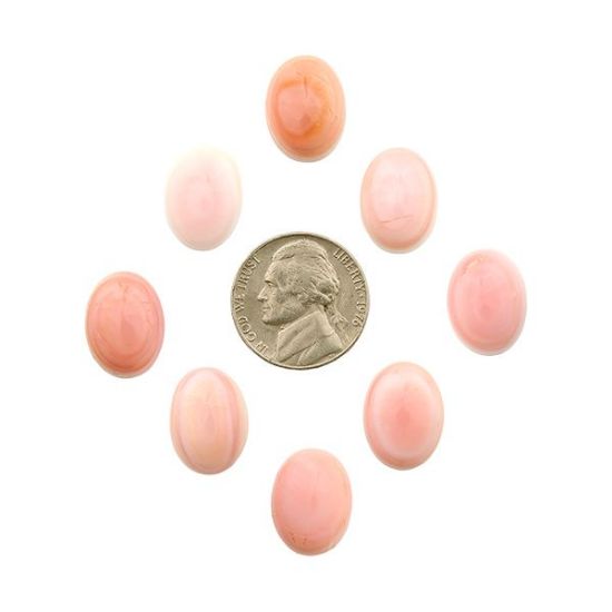 Picture of Pink Conch Shell Cabochon, 12x16mm Oval