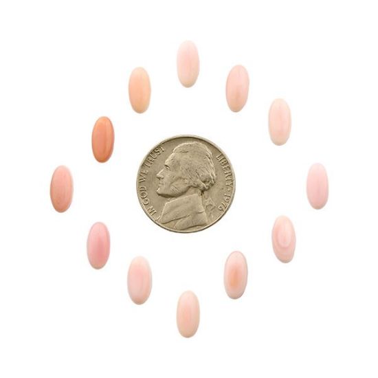 Picture of Pink Conch Shell Cabochon, 5x10mm Long Oval