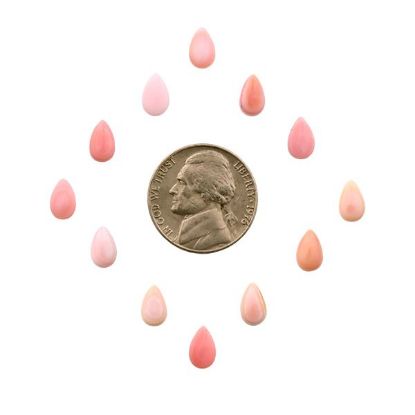 Picture of Pink Conch Shell Cabochon, 5x8mm Pear