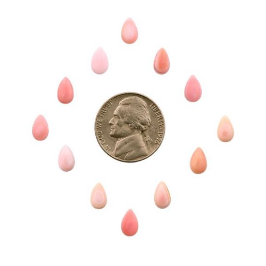Picture of Pink Conch Shell Cabochon, 5x8mm Pear
