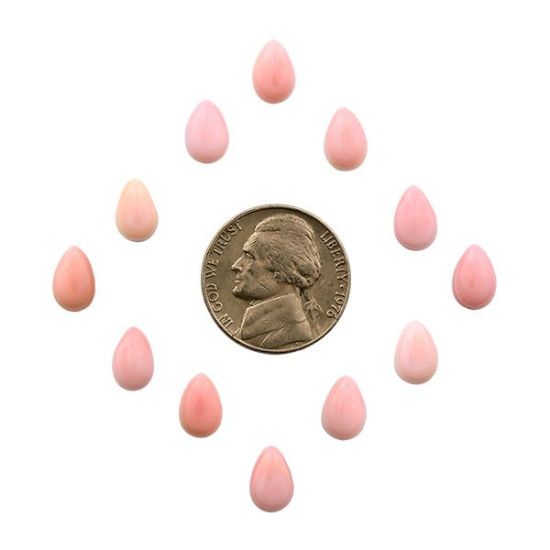 Picture of Pink Conch Shell Cabochon, 6x9mm Pear