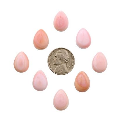 Picture of Pink Conch Shell Cabochon, 12x16mm Pear