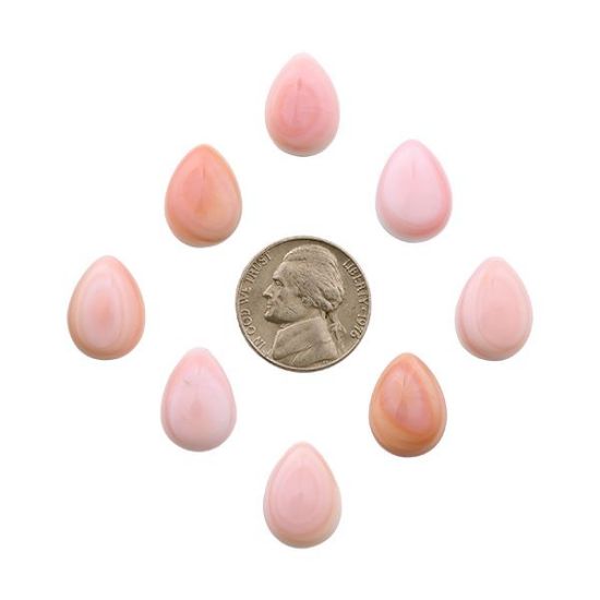 Picture of Pink Conch Shell Cabochon, 12x16mm Pear