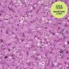 Picture of Cylin Glow in Dark Aurora Borealis, Purple to White Seed Bead Size 11, Approximately 25 Grams
