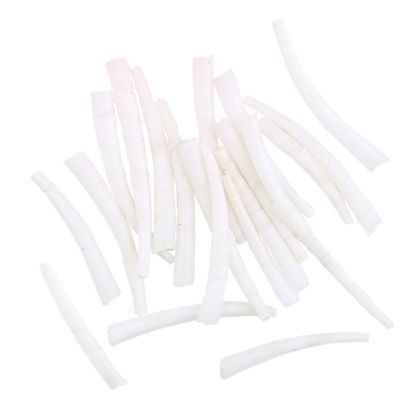 Picture of Ridged Dentalium Shells